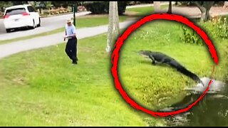 Alligator Runs After Fisherman in South Carolina