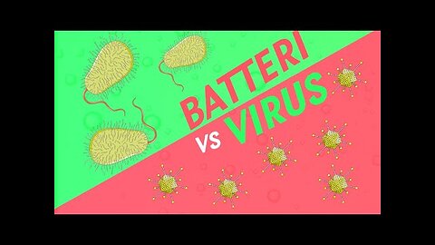 Qual è la differenza tra virus e batteri DOCUMENTARIO quando parliamo di germi, molto spesso ci riferiamo in maniera intercambiabile a virus e batteri. In realtà non potrebbero essere più differenti gli uni dagli altri!