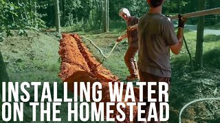 Installing Water | Forest to Farm