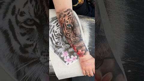 Arm Tiger Colour Tattoo Motive #shorts #tattoos #inked