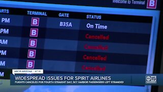 Sky Harbor seeing Spirit flight cancellations
