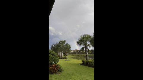 Rainbow In Paradise #4K #DolbyVisionHDR ￼ #FYP #Paradise #Rainbow #SWFL #mywalksinparadise