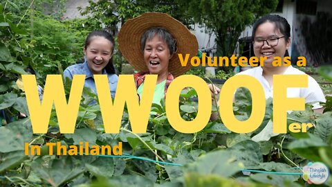 How to be a WWOOF Volunteer in Thailand #wwoof