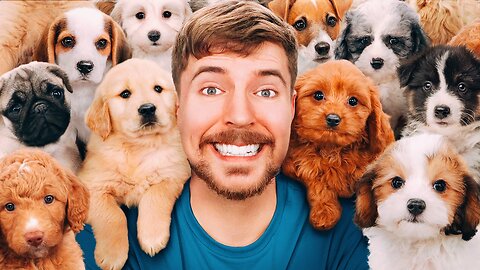 Mrbeast We found 100 abandoned dogs and tried to get them all adopted In tomor