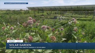 Audubon Rockies adds garden to Jack's Solar Garden in Longmont