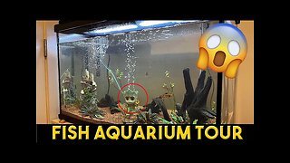 Fish Aquarium Tour !