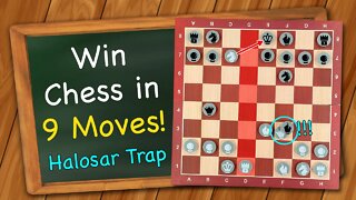 How to win chess in 9 moves with this awesome trap!! | Halosar Trap