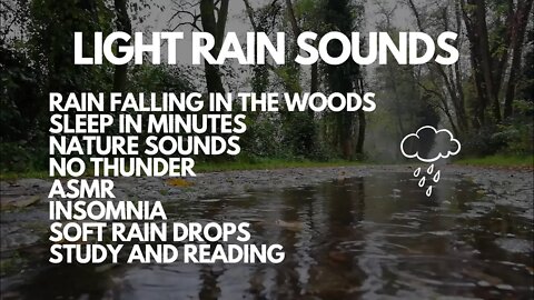 LIGHT RAIN FALLING SOUNDS TO SLEEP IN MINUTES NO THUNDER, ASMR INSOMNIA SOFT RAIN DROPS STUDY, READ