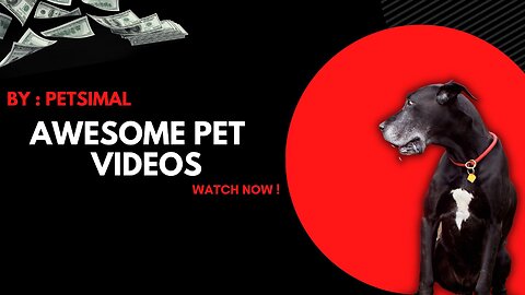 funny animal videos best pet videos😂😃🙃