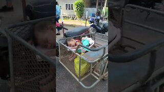 Thai Carseat