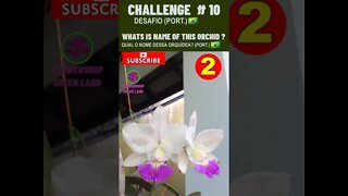 CHALLENGE # 10 | WHATS IS NAME OF THIS ORCHIDS?| YOU WANT TO LEARN? | # SHORT