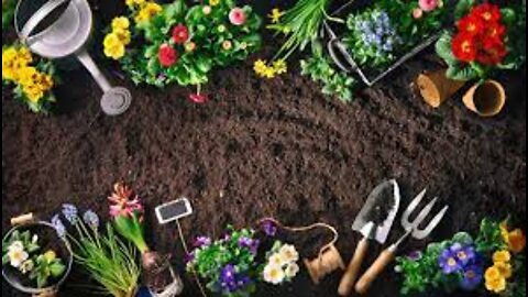 Beginner Gardening Tips for a Successful Garden - Grow Your Own Food!