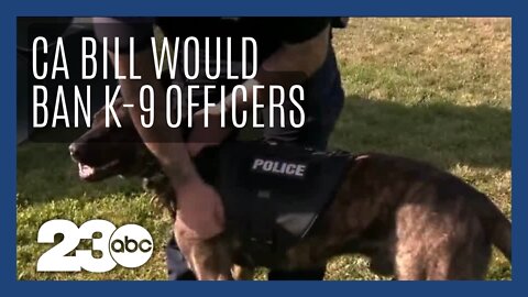 New California bill would ban K-9 officer arrests