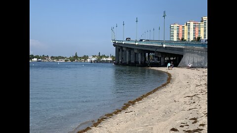 Blue Heron Bridge July 28th 2021