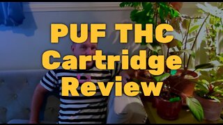 PUF THC Cartridge Review - Good Price and Taste