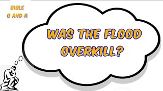 Was the Flood Overkill?