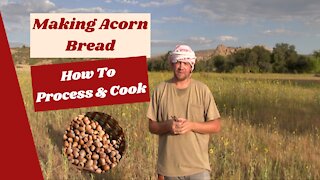 Making and Cooking Acorn Bread!