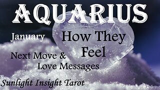 AQUARIUS♒ They Think That You Would Be Perfect Together!💑 They're Ready Now!🌹 January How They Feel