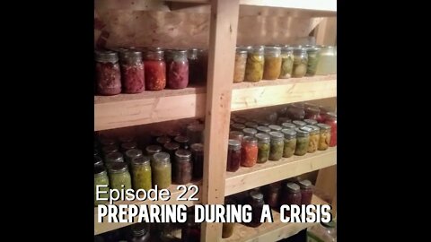 S1E22 Preparing DURING A Crisis Homestead Preparedness Pt. 2