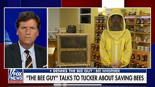 TUCKER CARLSON-4/6/23-DENNIS THE BEE GUY I BEE WHISPERER -TALKS TO TUCKER ABOUT SAVING BEES