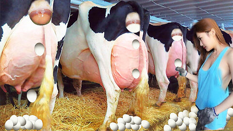 Farm - Dairy Raw Milking Robot Cure Cows Farm Pretty Girl Tree Cutting Chainsaw Cow Milking