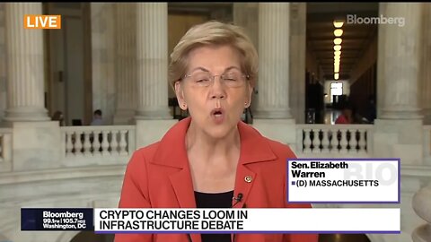 Reaction To Gensler's Crypto Tour From Former SEC Chair, Caitlin Long & Elizabeth Warren - 8/4/2021