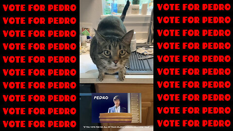 Zeus Votes For Pedro