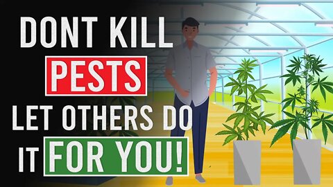 Don't Kill Pests! Let others do it For YOU!