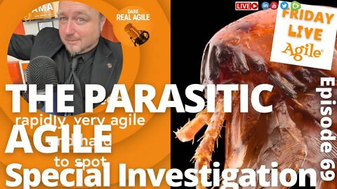 The PARASITIC Agile 🔴 Friday Live Agile #69