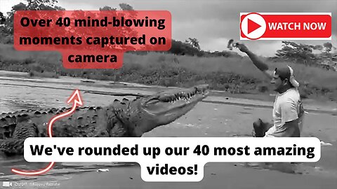 40+ mind-blowing moments captured on camera that will leave your jaw dropping