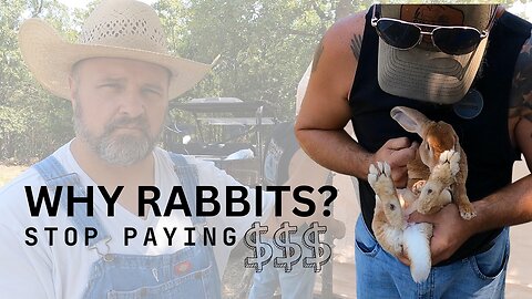 Unlock the Secret to Sustainable Meat with Rabbits!