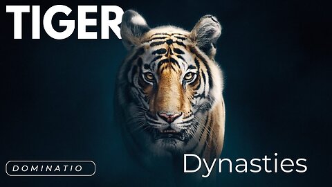 Dynasties - Tiger