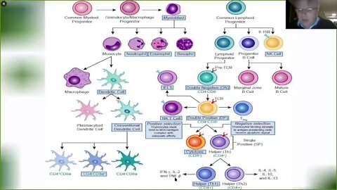 PandaCast | Immunology & Covid-19