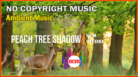 Peach Tree Shadow - Mike Block feat Folk Physics: Ambient Music, Positive Music, Hope Music