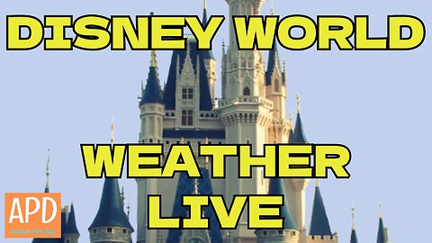 Disney World Weather Channel LIVE