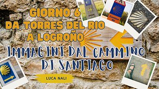 GIORNO 6 - IMMAGINI DAL CAMMINO DI SANTIAGO - Da Torres del Rio a Logroño