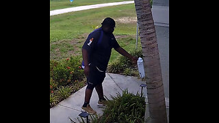 FedEx Driver Tosses Package Onto Concrete