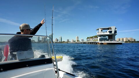 Mangrove Snapper and Sheepshead Fishing Downtown Saint Pete