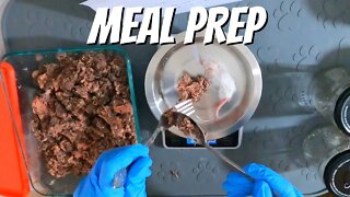 How I meal prep Jericho's raw and whole prey diet