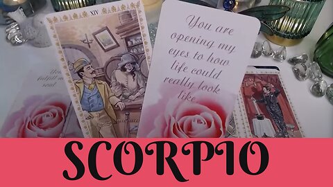 SCORPIO ♏💖LET ME SHOW YOU HOW MUCH I LOVE YOU💖SCORPIO LOVE TAROT💝 LOVE TAROT