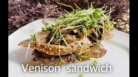 Venison sandwich