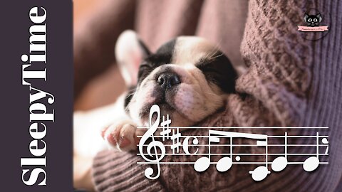 SleepyTime Music For Your Dog! ♫ - By Soundscapes For Pets