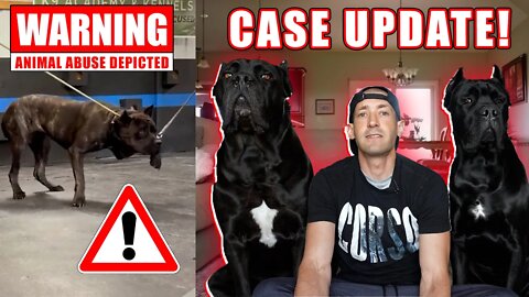 Cane Corso Beaten - Animal Abuse Update - Cypress Arrow K9 Tina Frey