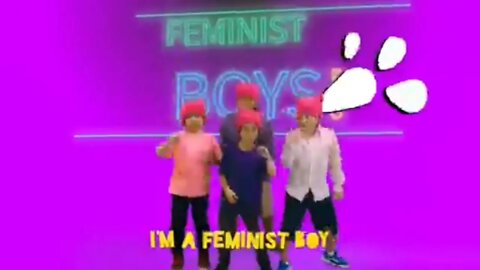 TF Is A Feminist Boy?