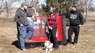 Leaf Plow Winner! Tim Guided By Seeing Eye Dog!