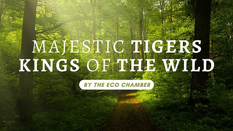 Majestic Tigers: Kings of the Wild