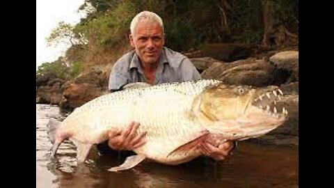 Hunting 160KG Biggest River Monsters For The World Record