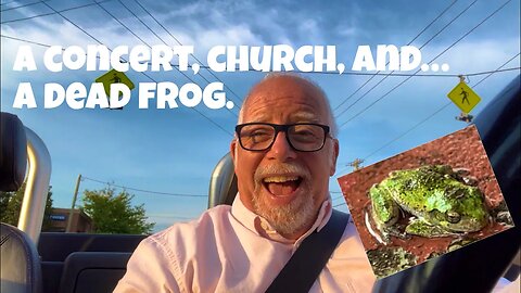 CINCINNATI DAD: Ah, The Weekend! A Concert, A Plant, And A Frog Meets His Unfortunate Demise…