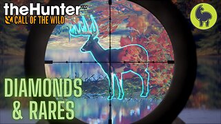 Diamond & Rare Montage #5 | theHunter: Call of the Wild (PS5 4K)