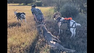 Youth Buck Hunts in NM and AZ, 2022